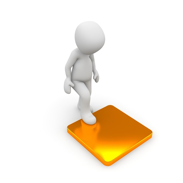 Die Kunst des Investierens: Strategien für Einsteiger